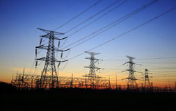 ������Ŀ