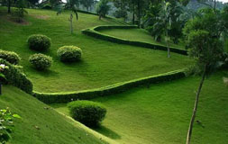 �羰԰����Ŀ